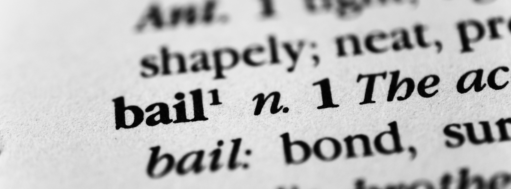 bail definition